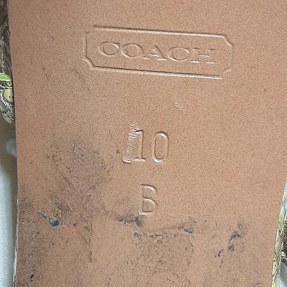 COACH | Green-ish Snake Skin Gold Ankle Strap Heels - Picture 14 of 16